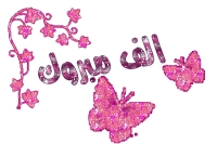  الطلاب العشرون الاوائل 